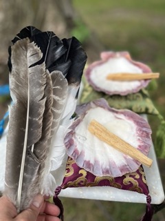 Lion Paw shell for smudging - Click Image to Close